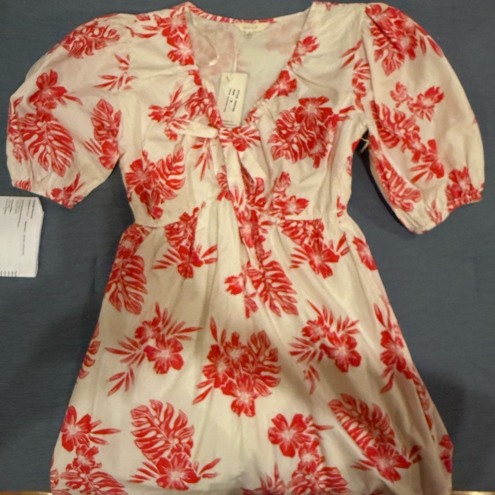 Floral Red and White Mini Dress